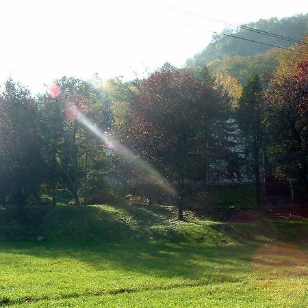 Bed and Breakfast Vadregeny Panzio Естерґом Екстер'єр фото