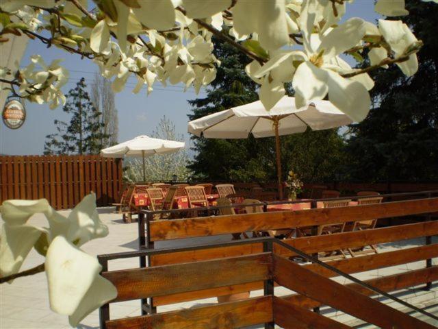 Bed and Breakfast Vadregeny Panzio Естерґом Екстер'єр фото